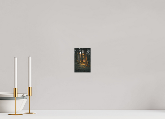 Saarländer Märchenwald