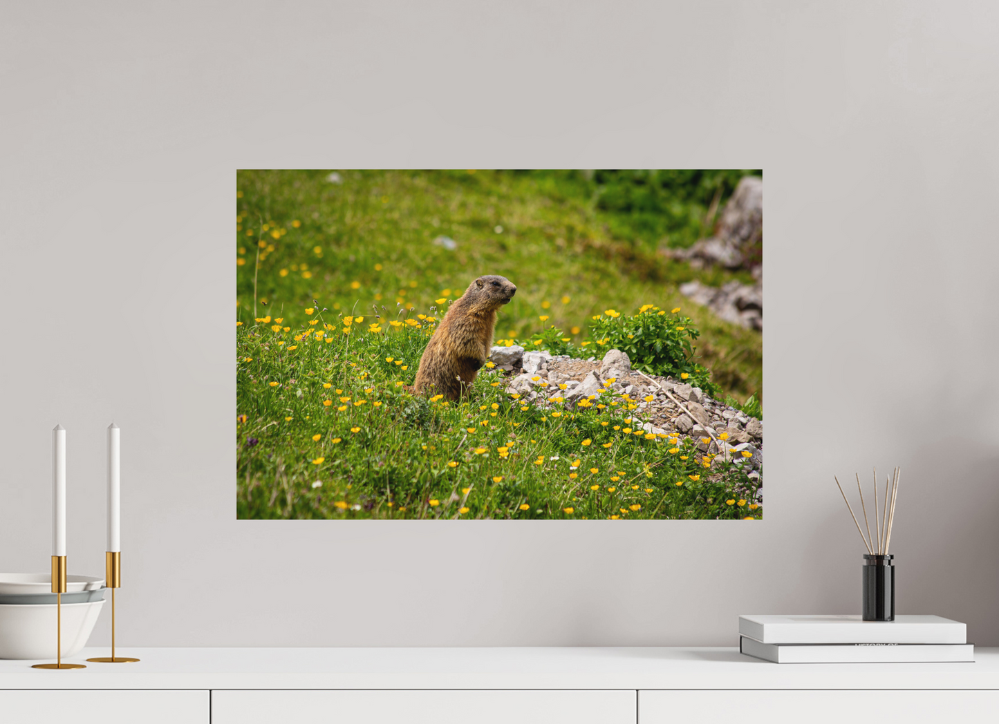 Liechtensteiner Murmeltier