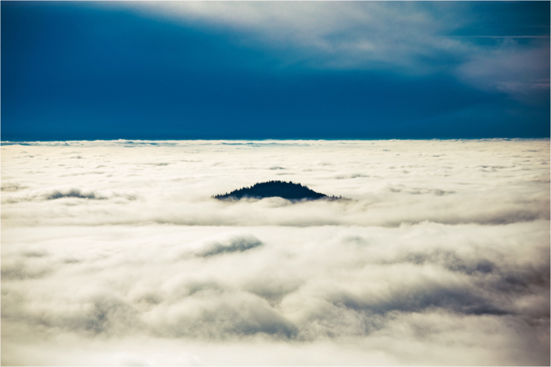 Main image Eine Insel im Schwarzwald