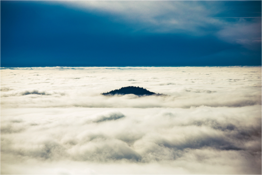 Main image Eine Insel im Schwarzwald