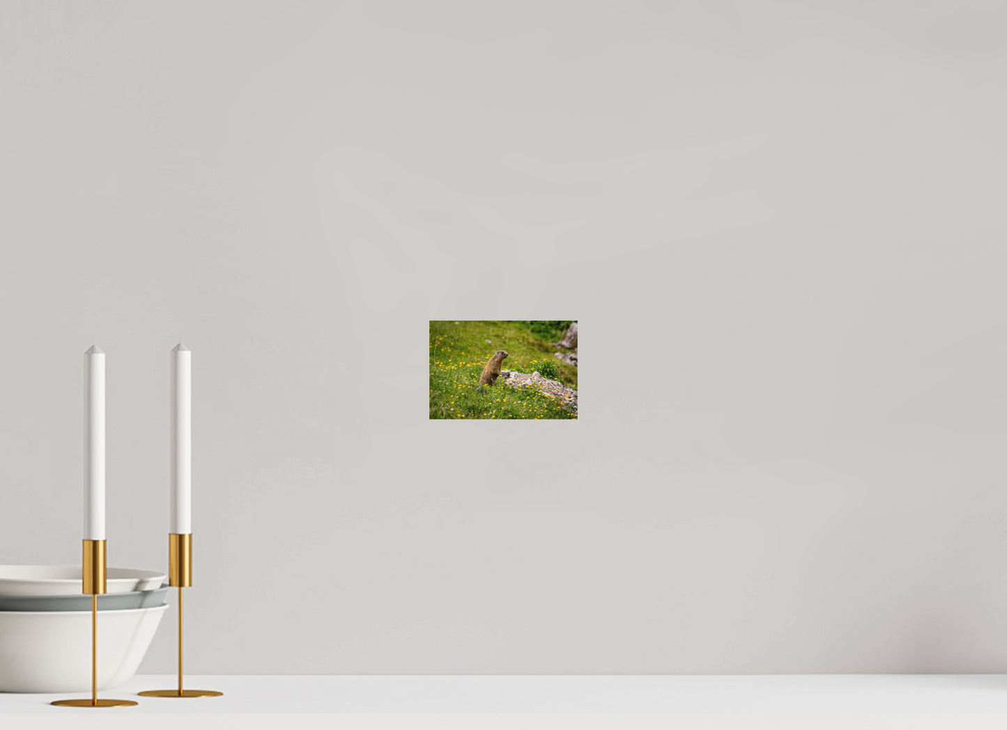 Liechtensteiner Murmeltier