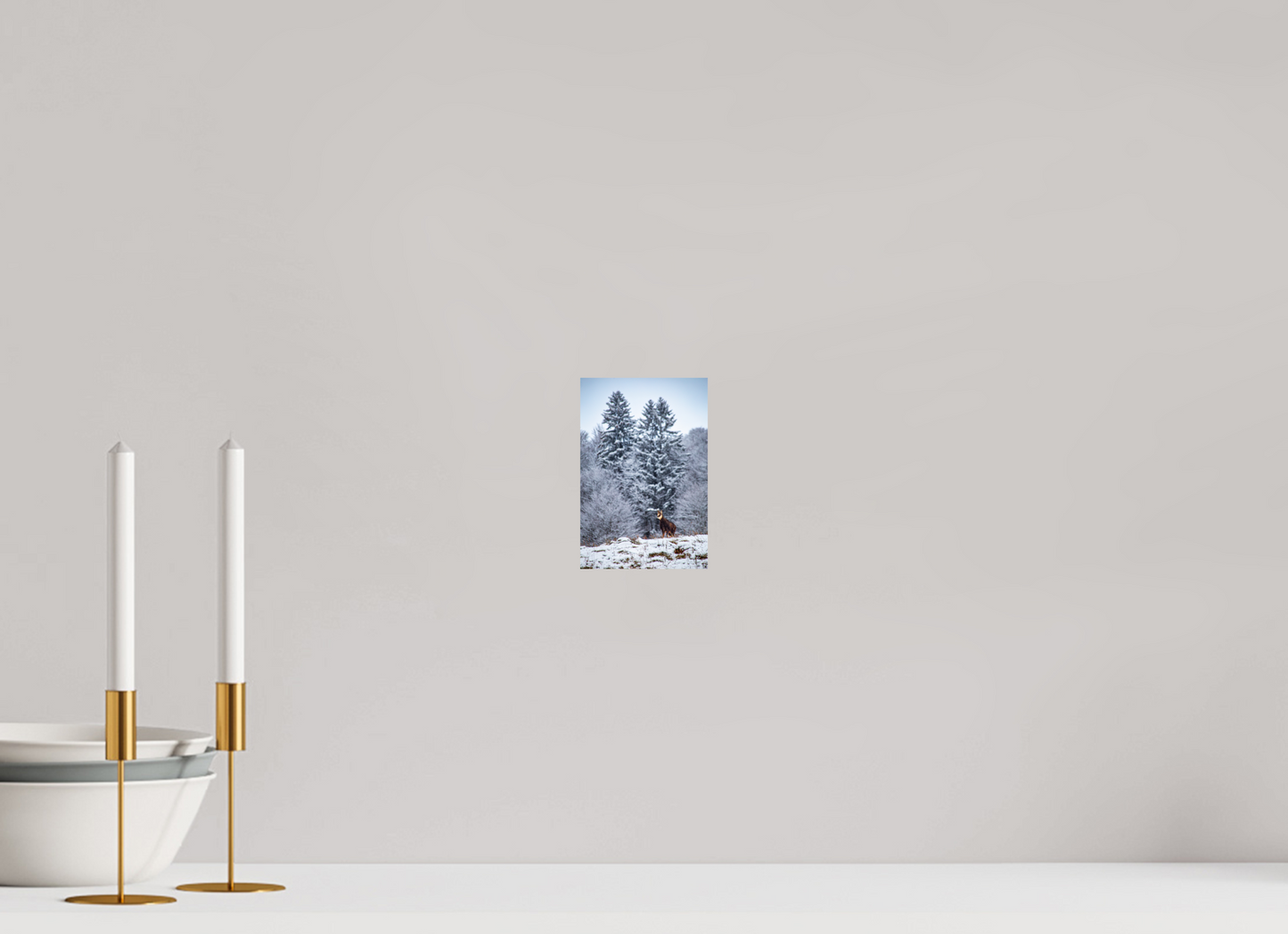 10 x 15 cm, Alu-Dibond Gams am Belchen