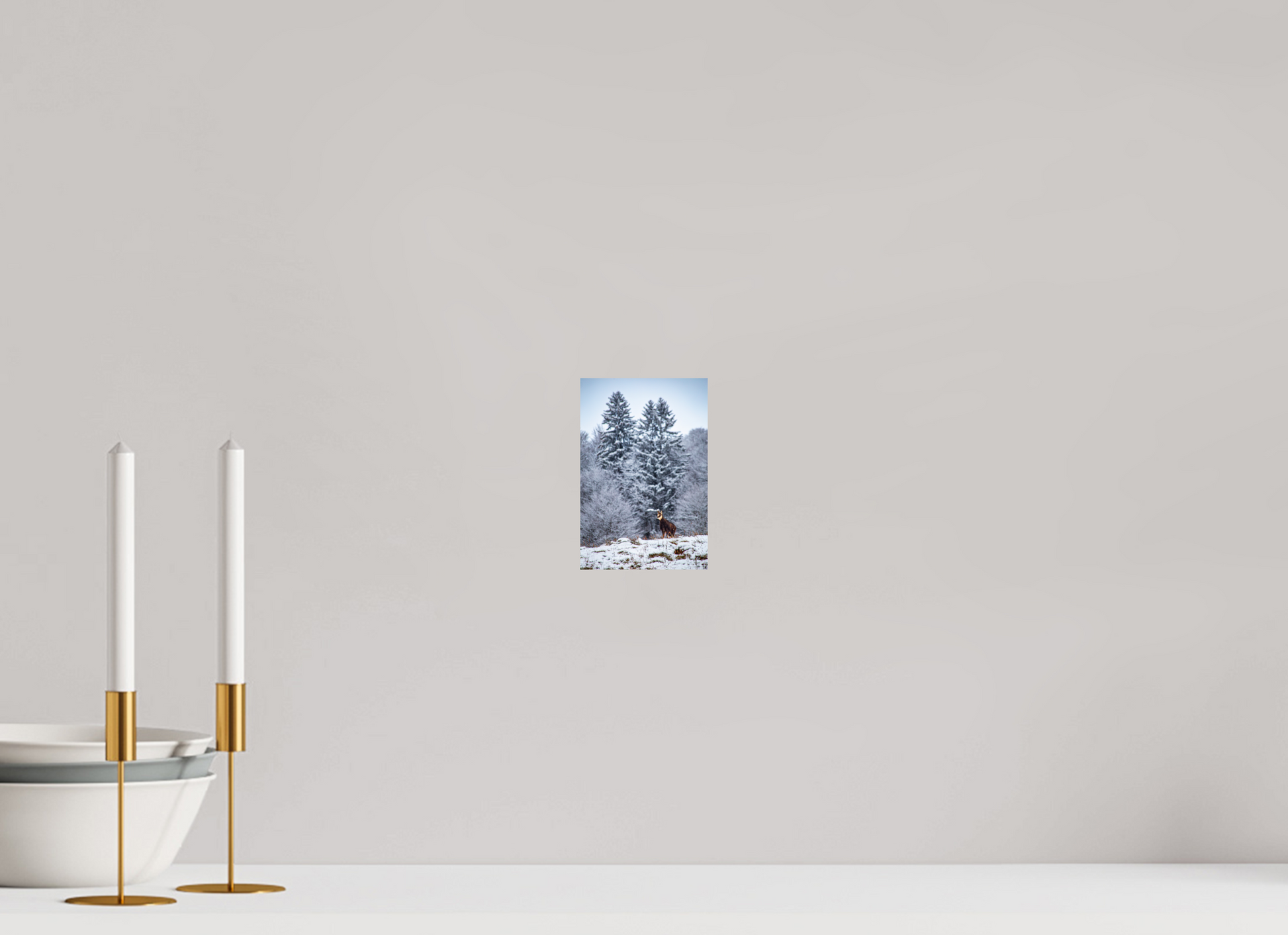 10 x 15 cm, Alu-Dibond Gams am Belchen