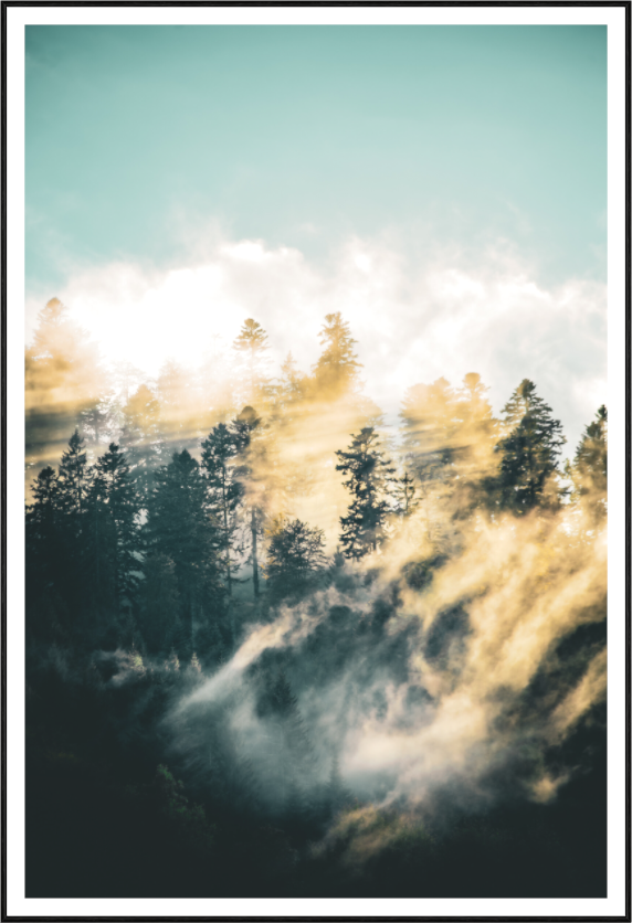 Schwarzwald im Herbst