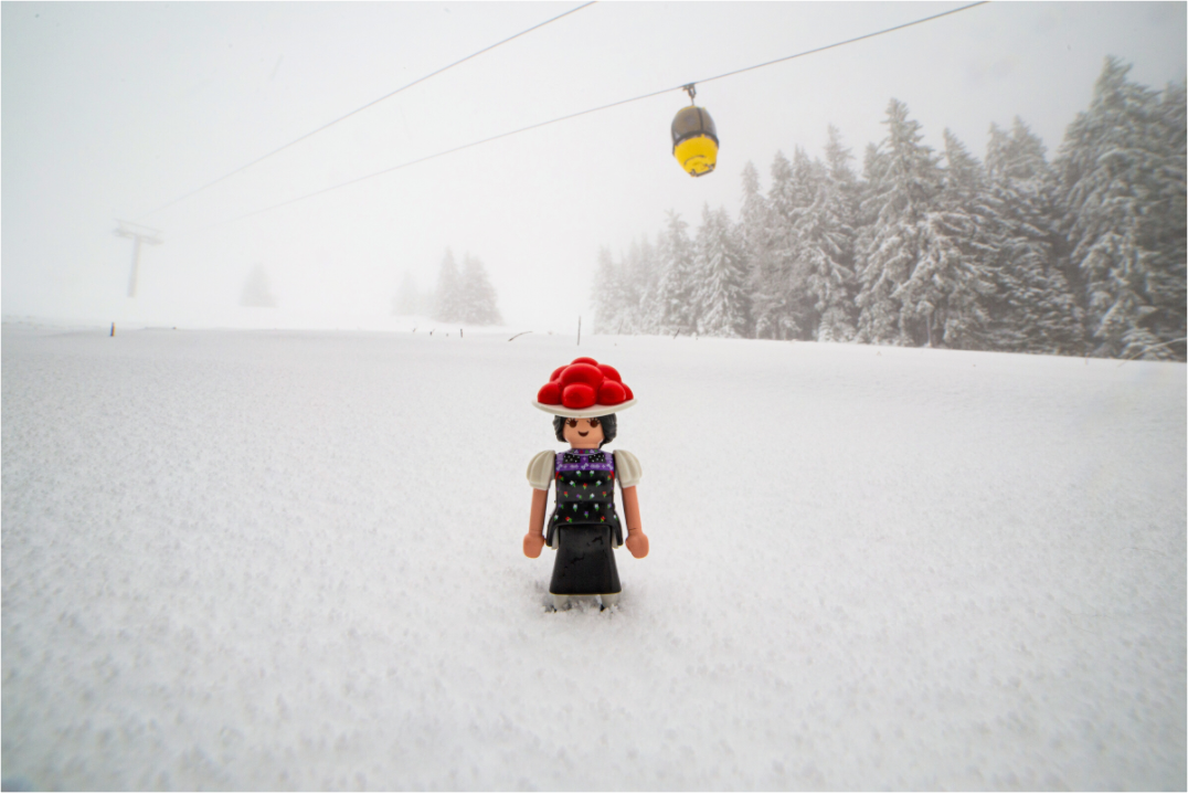 Main image Schwarzwaldmarie am Belchen