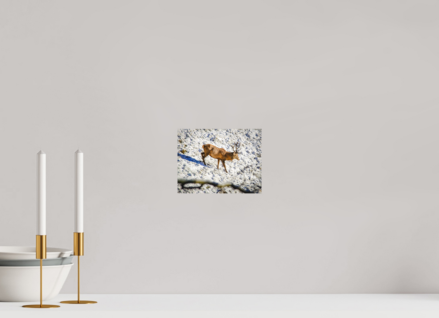 19,5 x 15 cm, Fine Art Print Rothirsch im Neuschnee