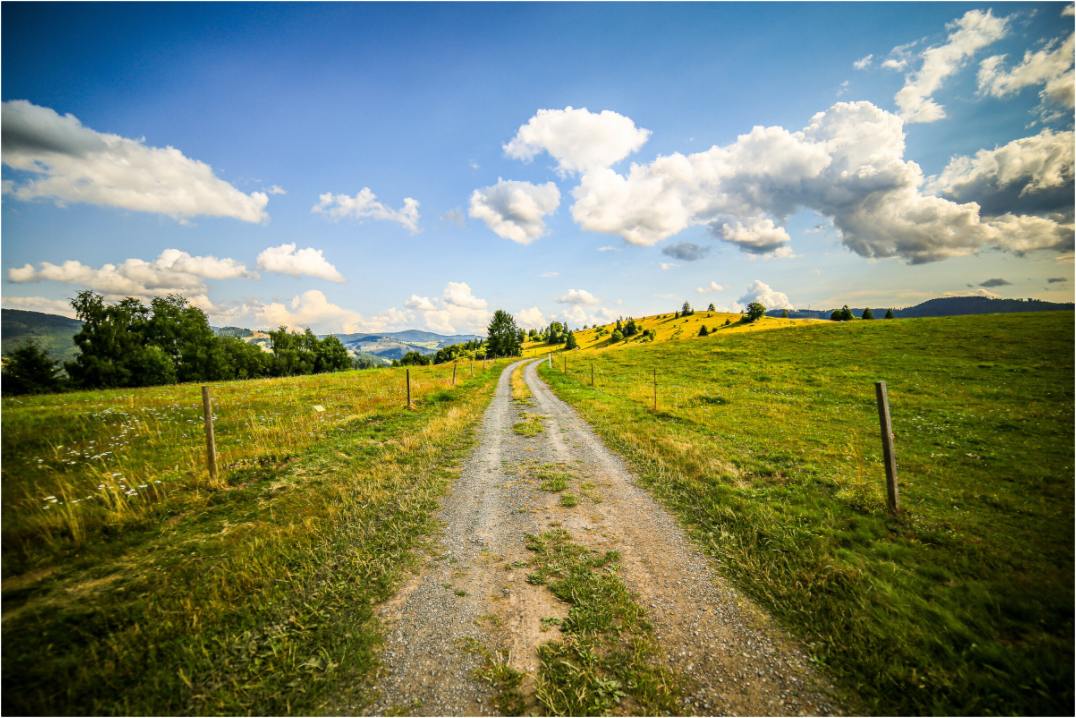 Sommer im Schwarzwald