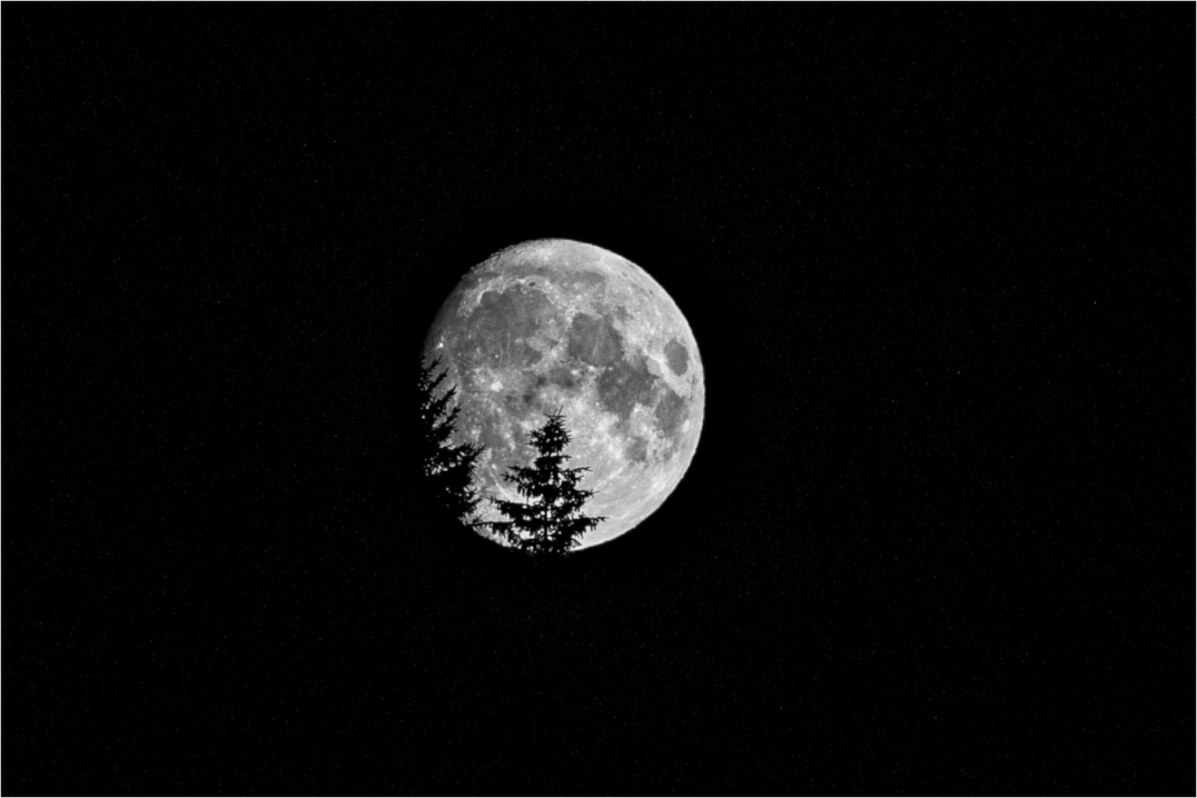 Main image Vollmond im Schwarzwald
