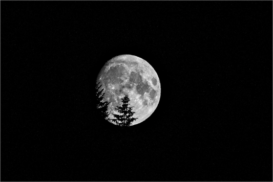 Main image Vollmond im Schwarzwald