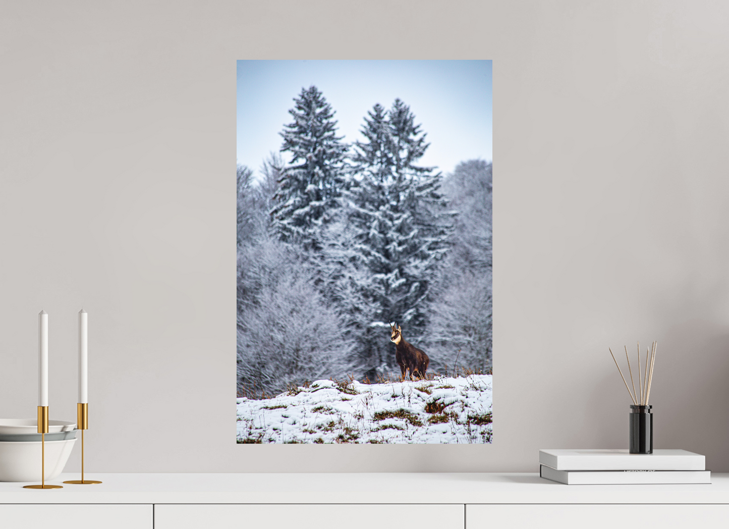 40 x 60 cm, Fine Art Print Gams am Belchen