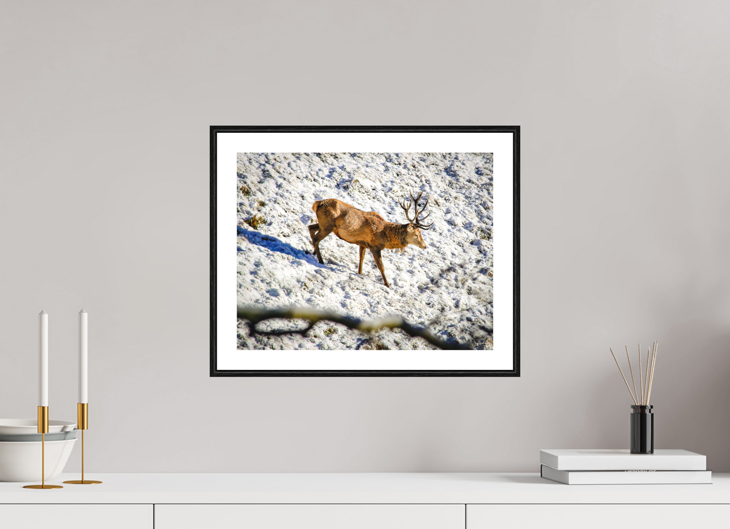 38,9 x 30 cm, Foto im Schattenfugenrahmen (Eiche schwarz) Rothirsch im Neuschnee