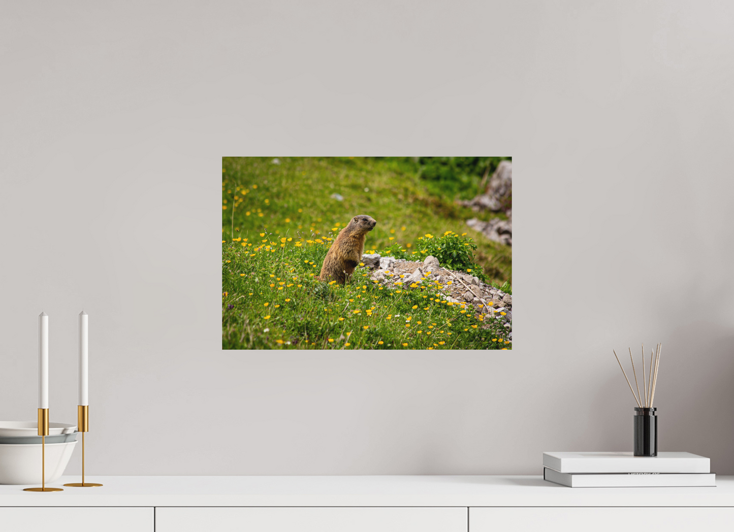 Liechtensteiner Murmeltier