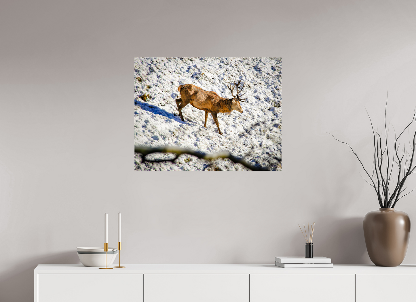 77,9 x 60 cm, Photo Print Under Acrylic Glass Rothirsch im Neuschnee