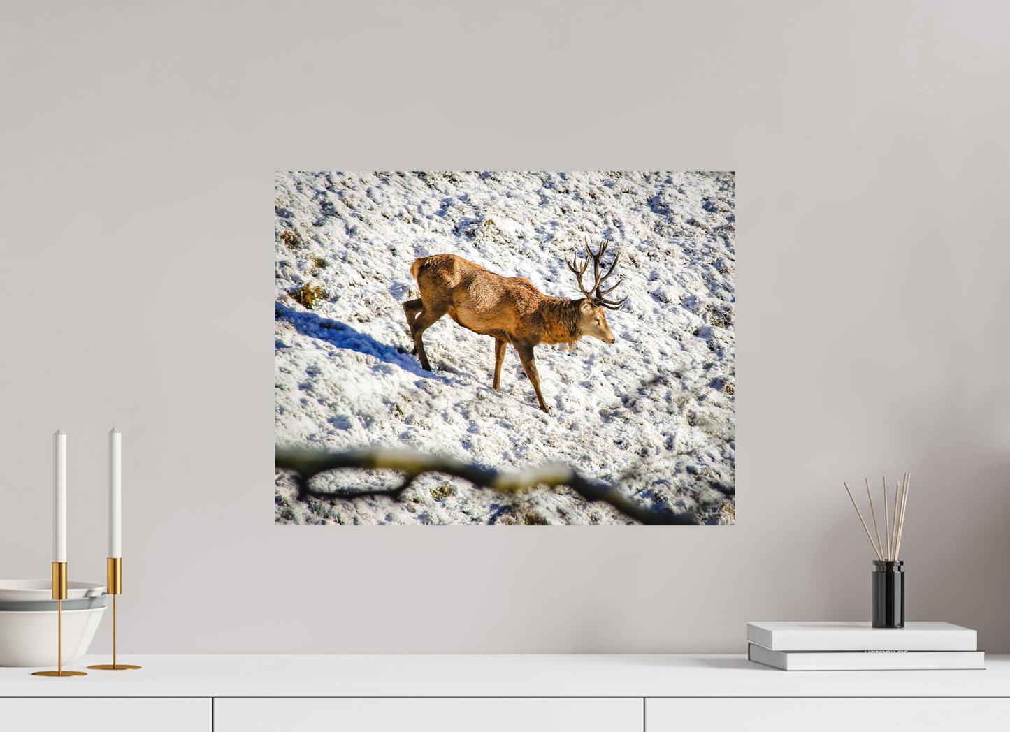 51,9 x 40 cm, Fine Art Print Rothirsch im Neuschnee