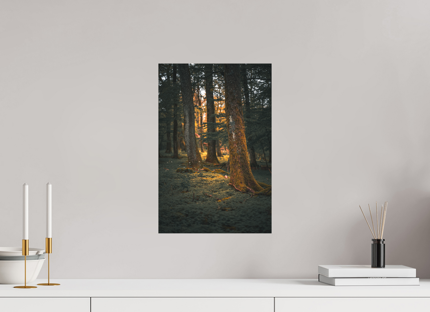 Saarländer Märchenwald