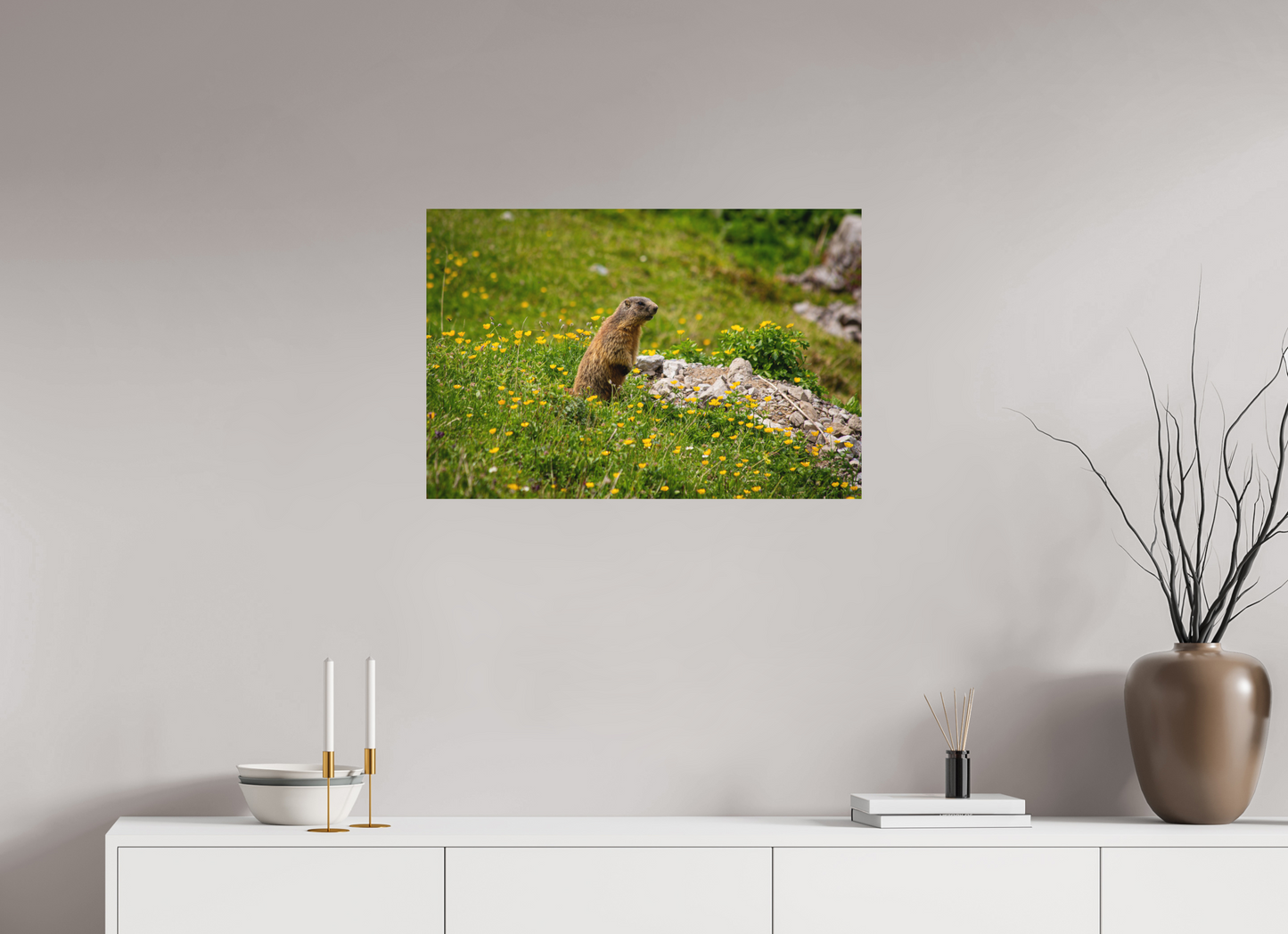 Liechtensteiner Murmeltier