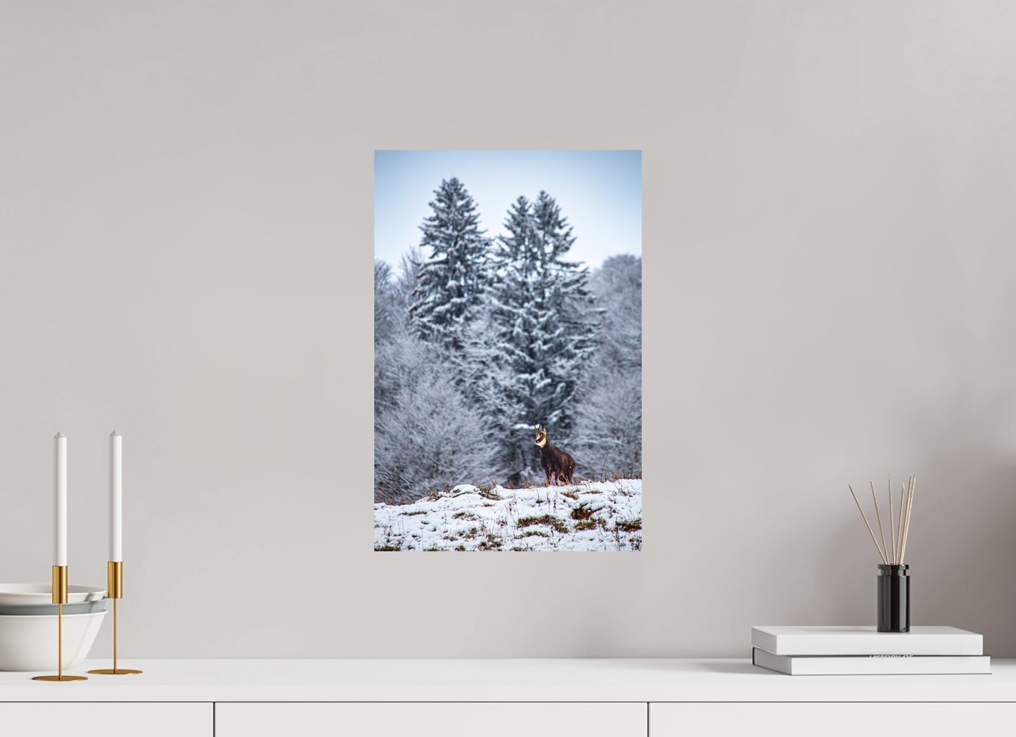 30 x 45 cm, Fine Art Print Gams am Belchen