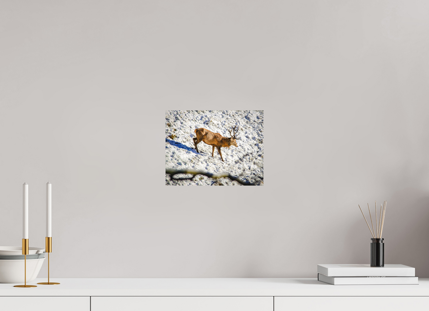 26 x 20 cm, Fine Art Print Rothirsch im Neuschnee
