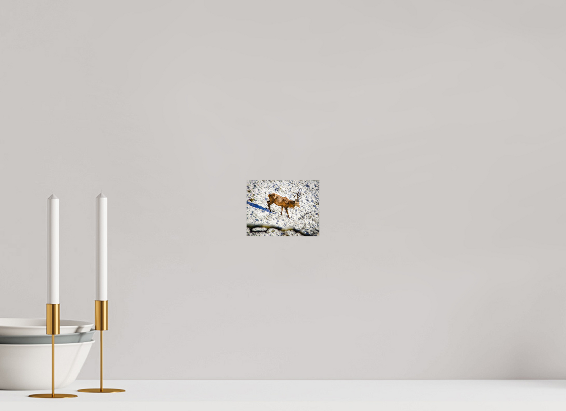 13 x 10 cm, Alu-Dibond Rothirsch im Neuschnee