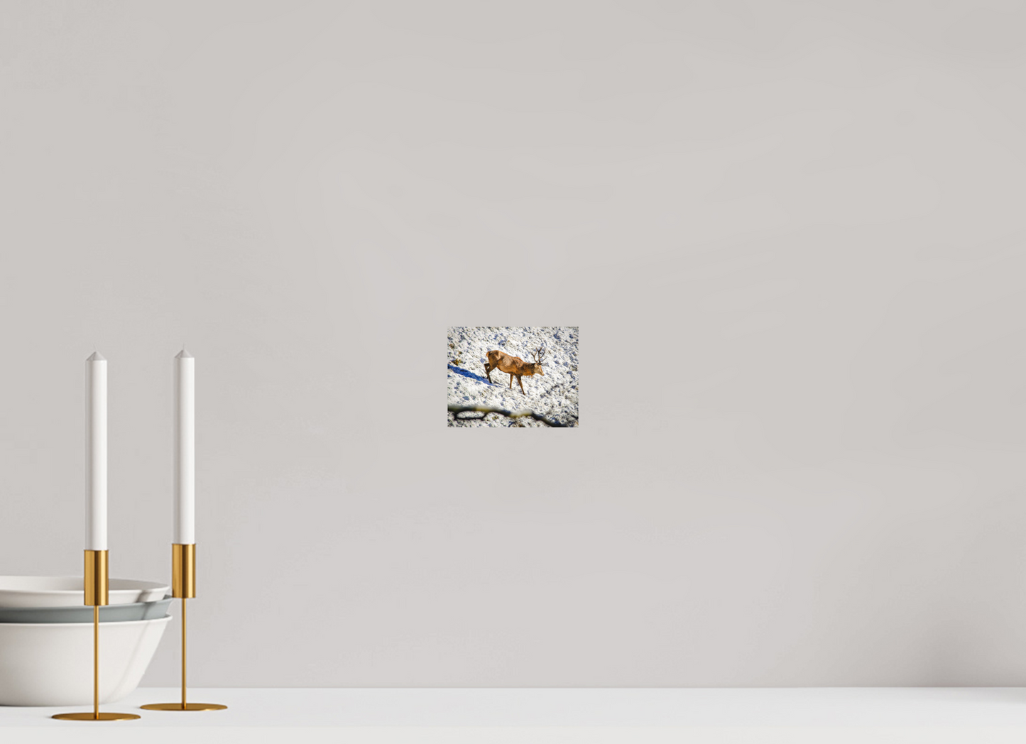 13 x 10 cm, Fine Art Print Rothirsch im Neuschnee