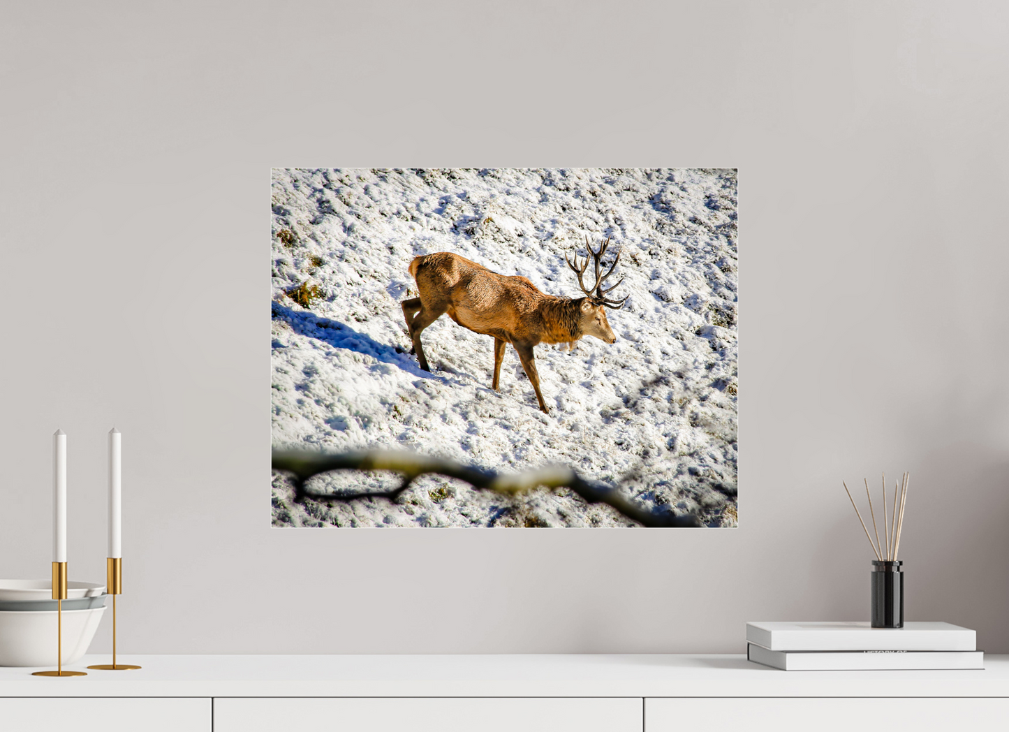 51,9 x 40 cm, Photo Print Under Acrylic Glass Rothirsch im Neuschnee